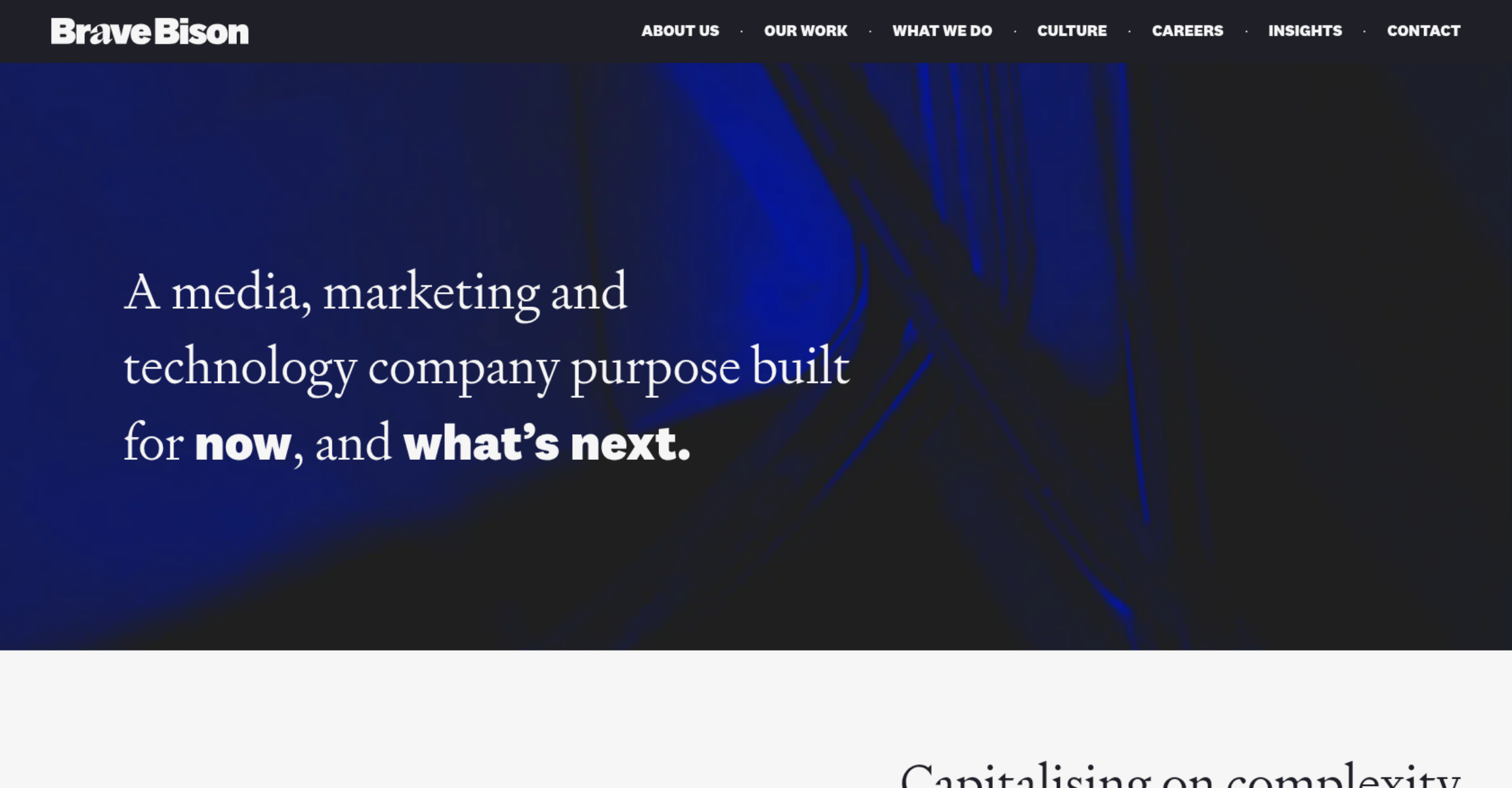 Brave Bison's homepage