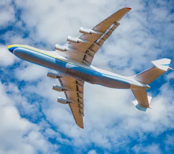 The Travel Franchise