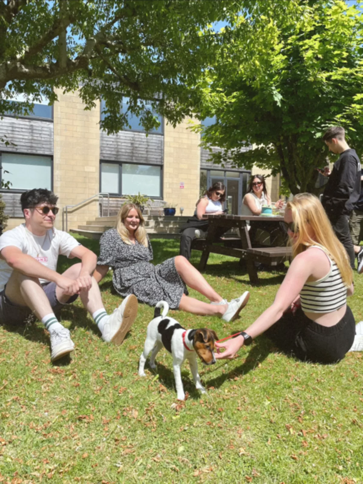 612f76a3 3ea9 4406 af27 7abffaded11b Medium