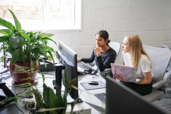 2024 Jack Abbott Bind 07713 Large