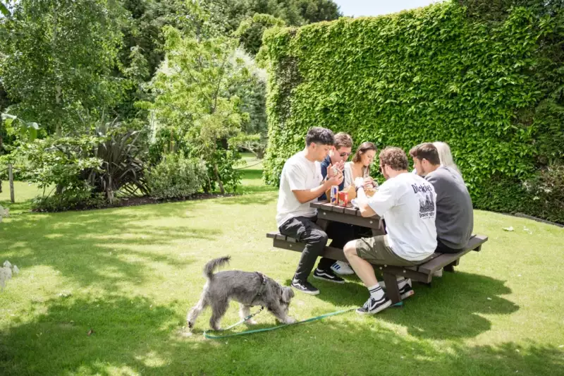 2024 Jack Abbott Bind 07815 Large