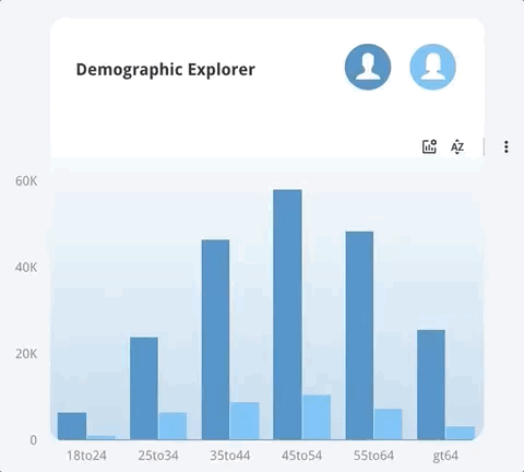 Google Data Studio demographic data